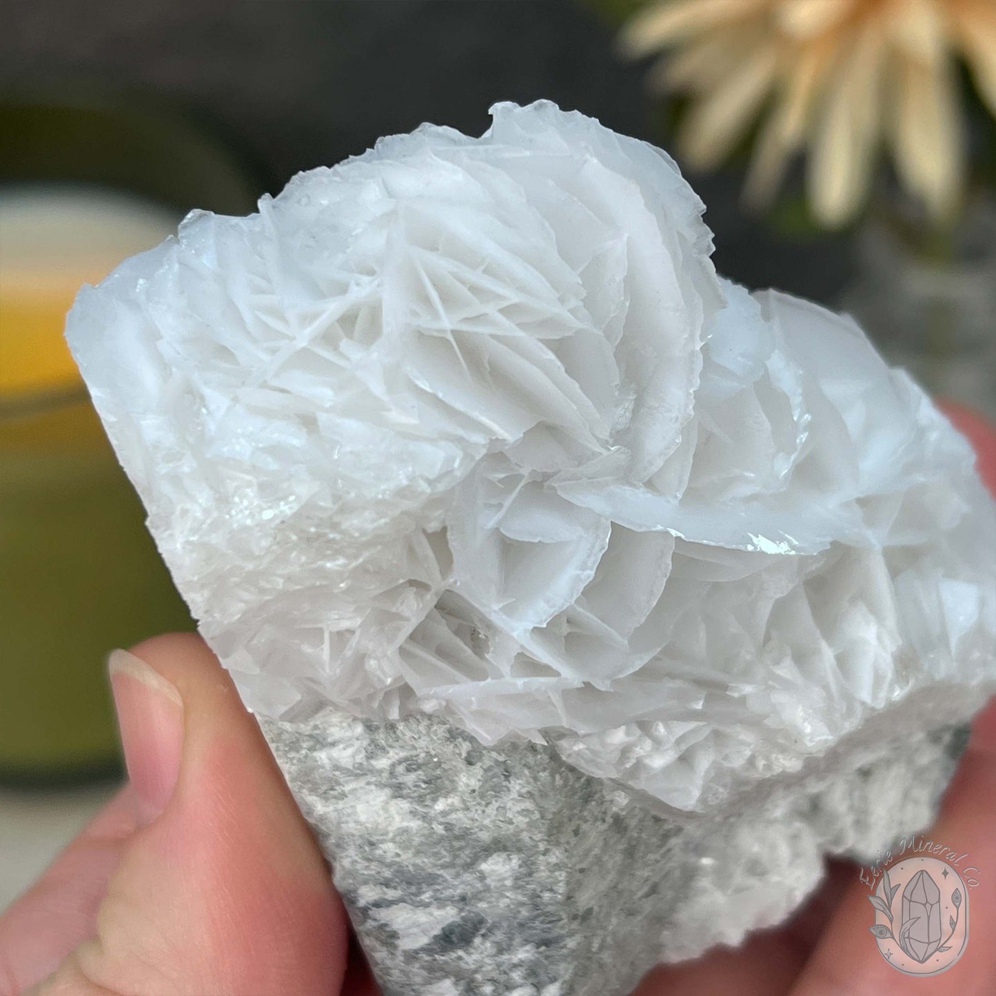 UV Reactive Bladed or Paper Calcite Pet Rock Carving