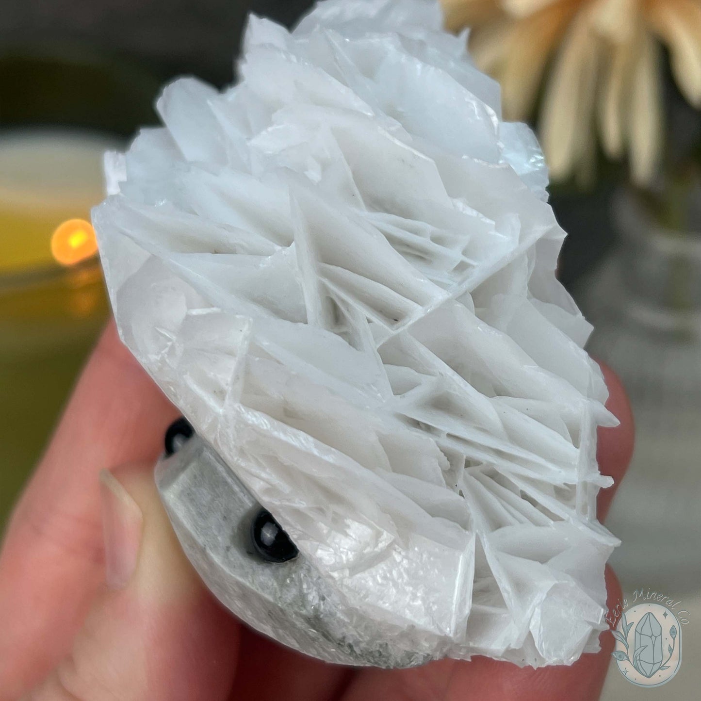 UV Reactive Bladed or Paper Calcite Pet Rock Carving