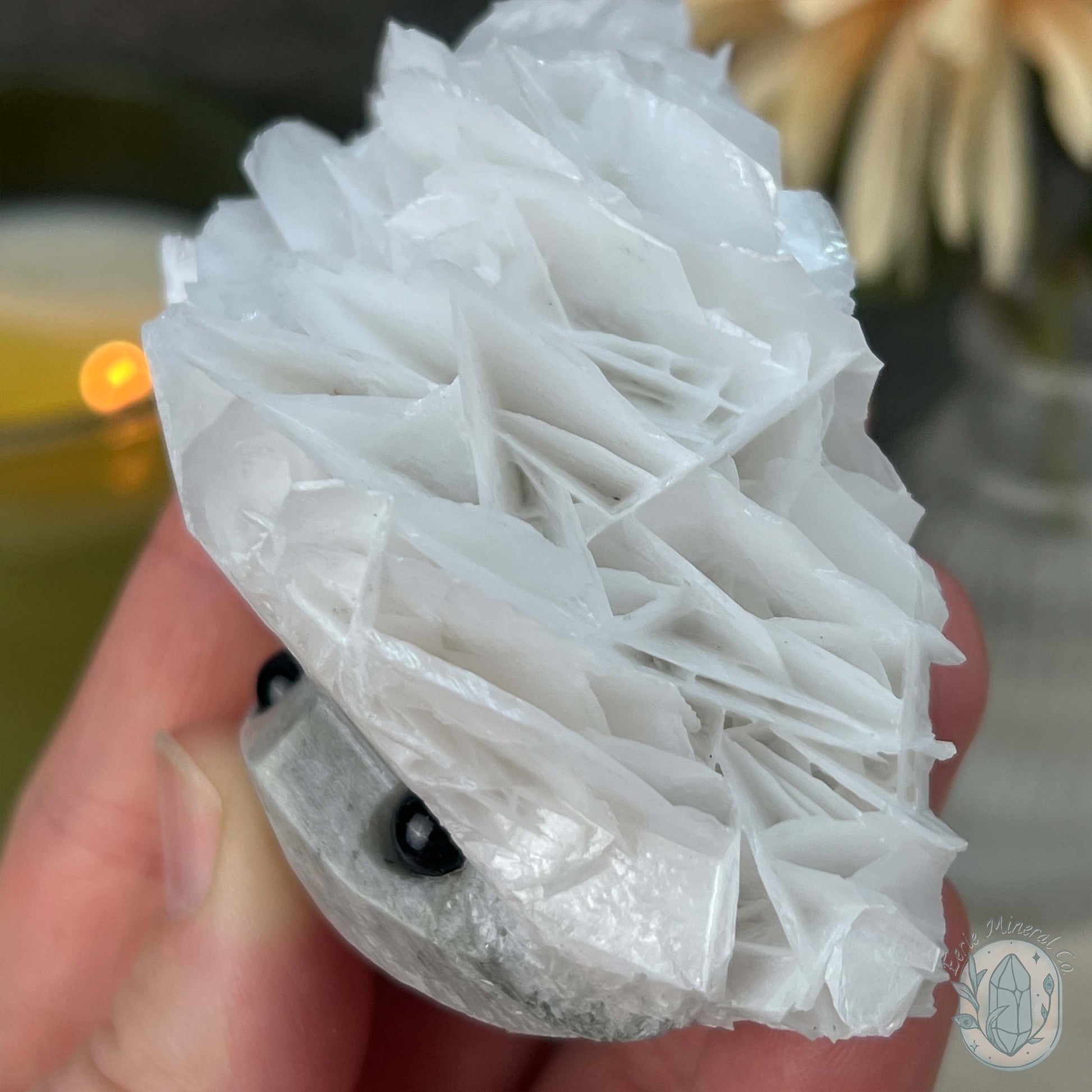UV Reactive Bladed or Paper Calcite Pet Rock Carving