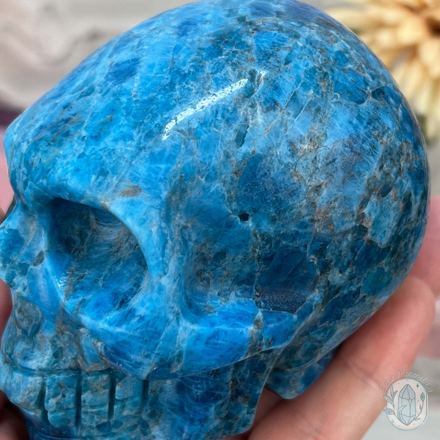 3.70" Polished Blue Apatite Skull Carving