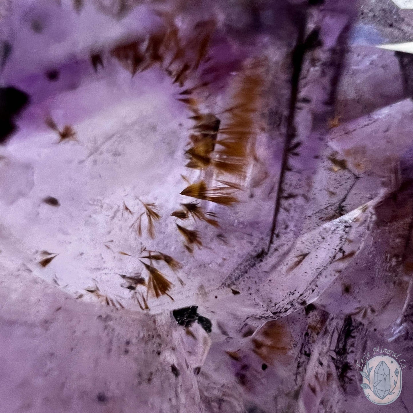 Brazilian Amethyst Flower Cluster with Golden Goethite Inclusions
