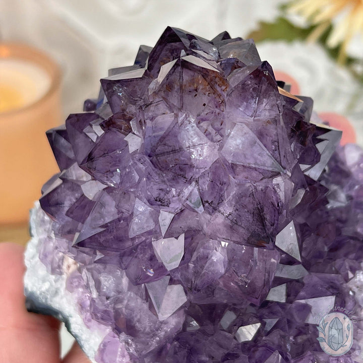Brazilian Amethyst Flower Cluster with Golden Goethite Inclusions