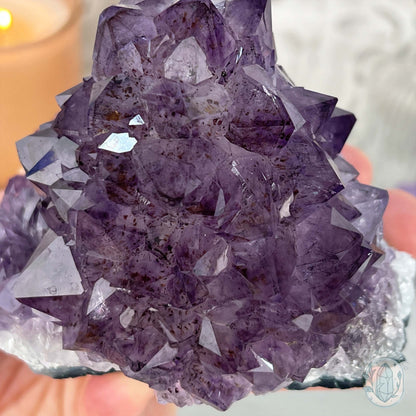 Brazilian Amethyst Flower Cluster with Golden Goethite Inclusions
