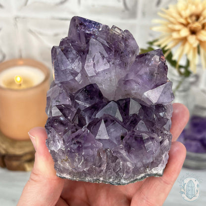Brazilian Amethyst Crystal Cluster with Golden Goethite Inclusions