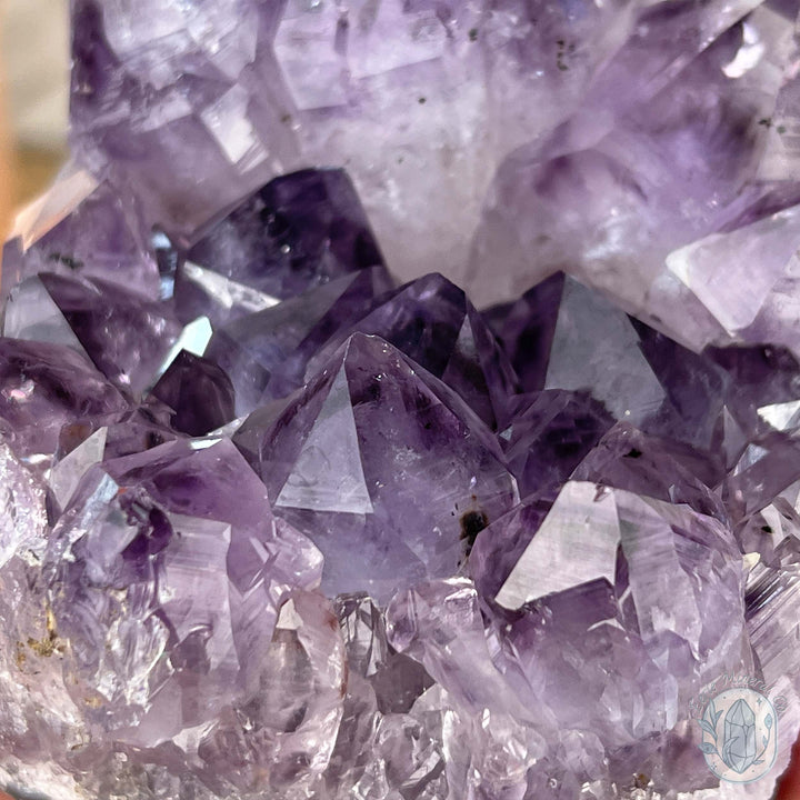 Brazilian Amethyst Crystal Cluster with Golden Goethite Inclusions