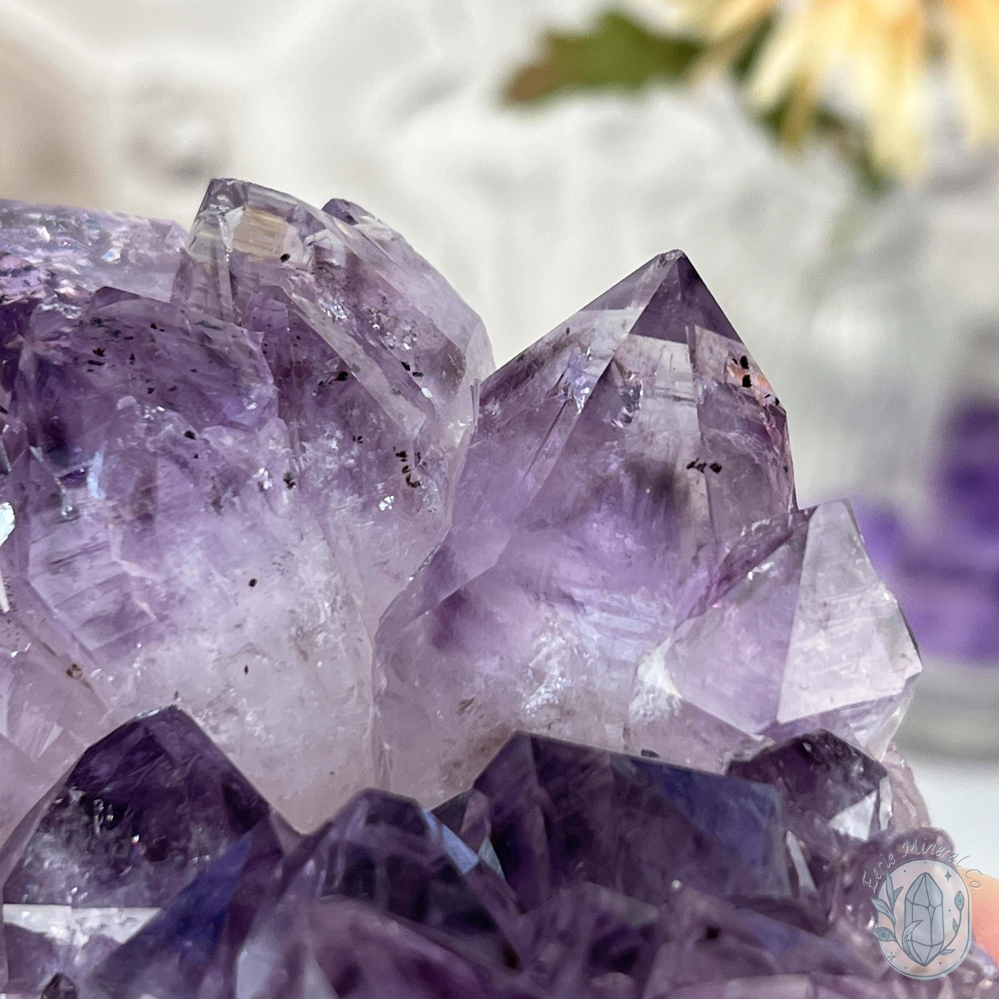 Brazilian Amethyst Crystal Cluster with Golden Goethite Inclusions