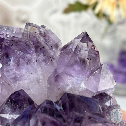 Brazilian Amethyst Crystal Cluster with Golden Goethite Inclusions