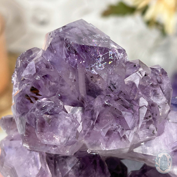 Brazilian Amethyst Crystal Cluster with Golden Goethite Inclusions