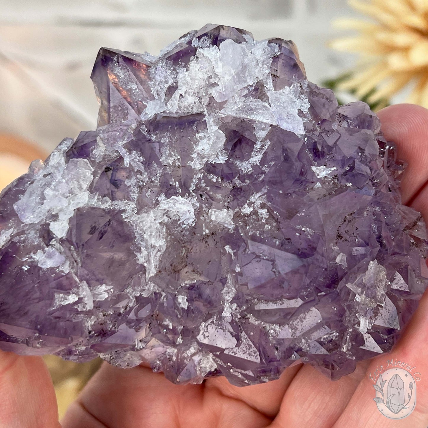 Brazilian Amethyst with Druzy Quartz Crystal Cluster