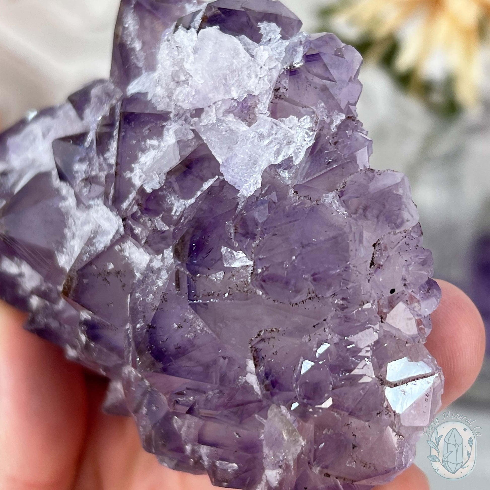 Brazilian Amethyst with Druzy Quartz Crystal Cluster