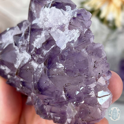 Brazilian Amethyst with Druzy Quartz Crystal Cluster