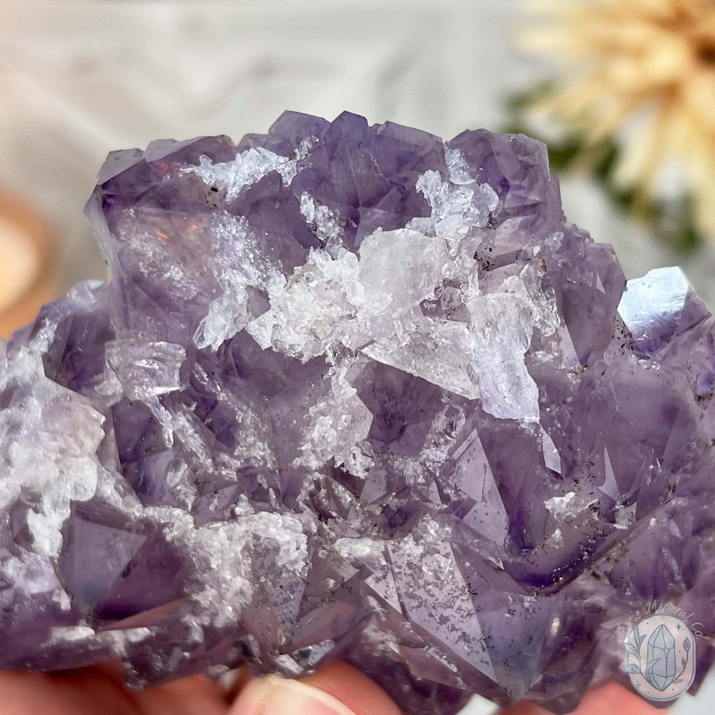 Brazilian Amethyst with Druzy Quartz Crystal Cluster