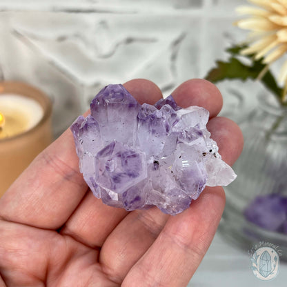 Brazilian Phantom Amethyst Crystal Cluster