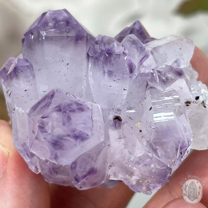 Brazilian Phantom Amethyst Crystal Cluster