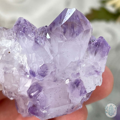 Brazilian Phantom Amethyst Crystal Cluster