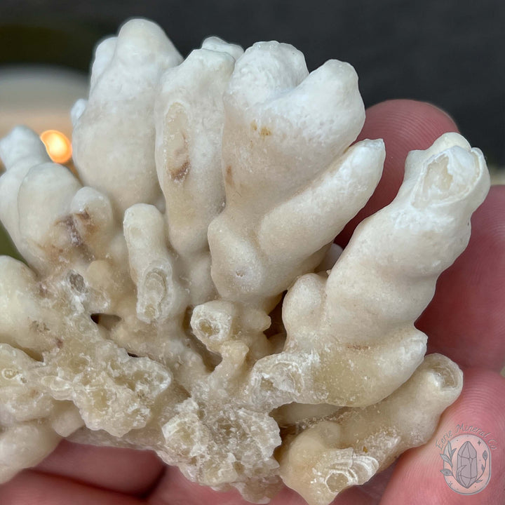 Yunnan Province Creamy White Calcite Cave Stalactite Specimen
