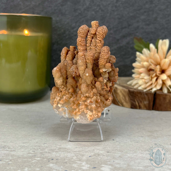 Natural Cave Calcite Stalactite Specimen