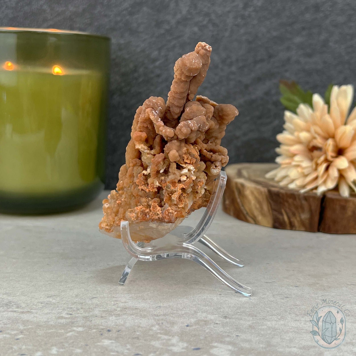 Natural Cave Calcite Stalactite Specimen