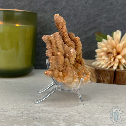 Natural Cave Calcite Stalactite Specimen