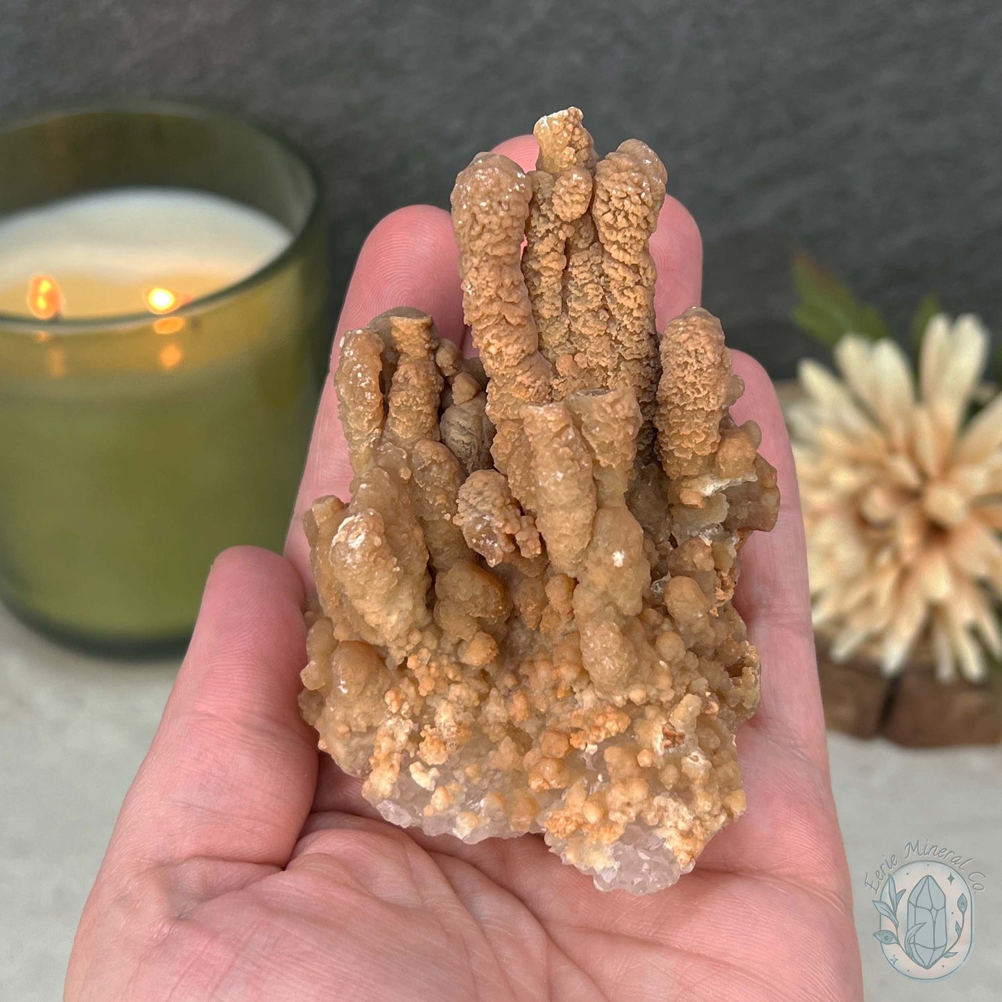 Natural Cave Calcite Stalactite Specimen
