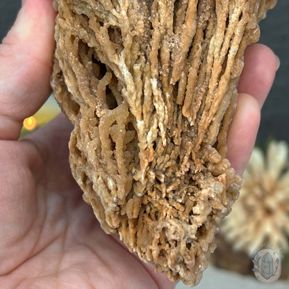 Druzy Calcite Cave Stalactite Specimen