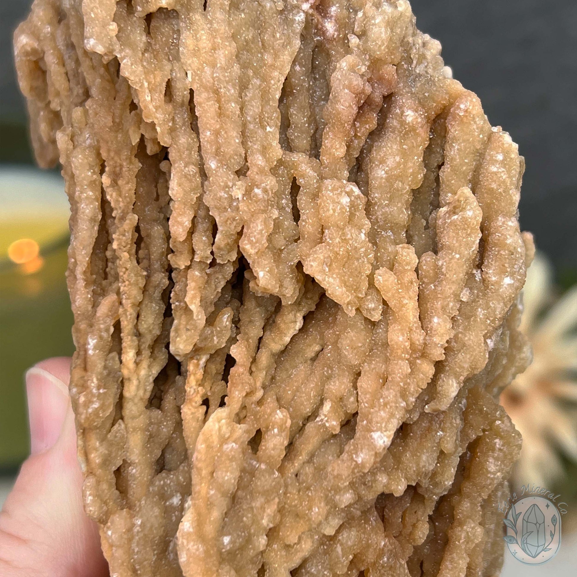 Druzy Calcite Cave Stalactite Specimen