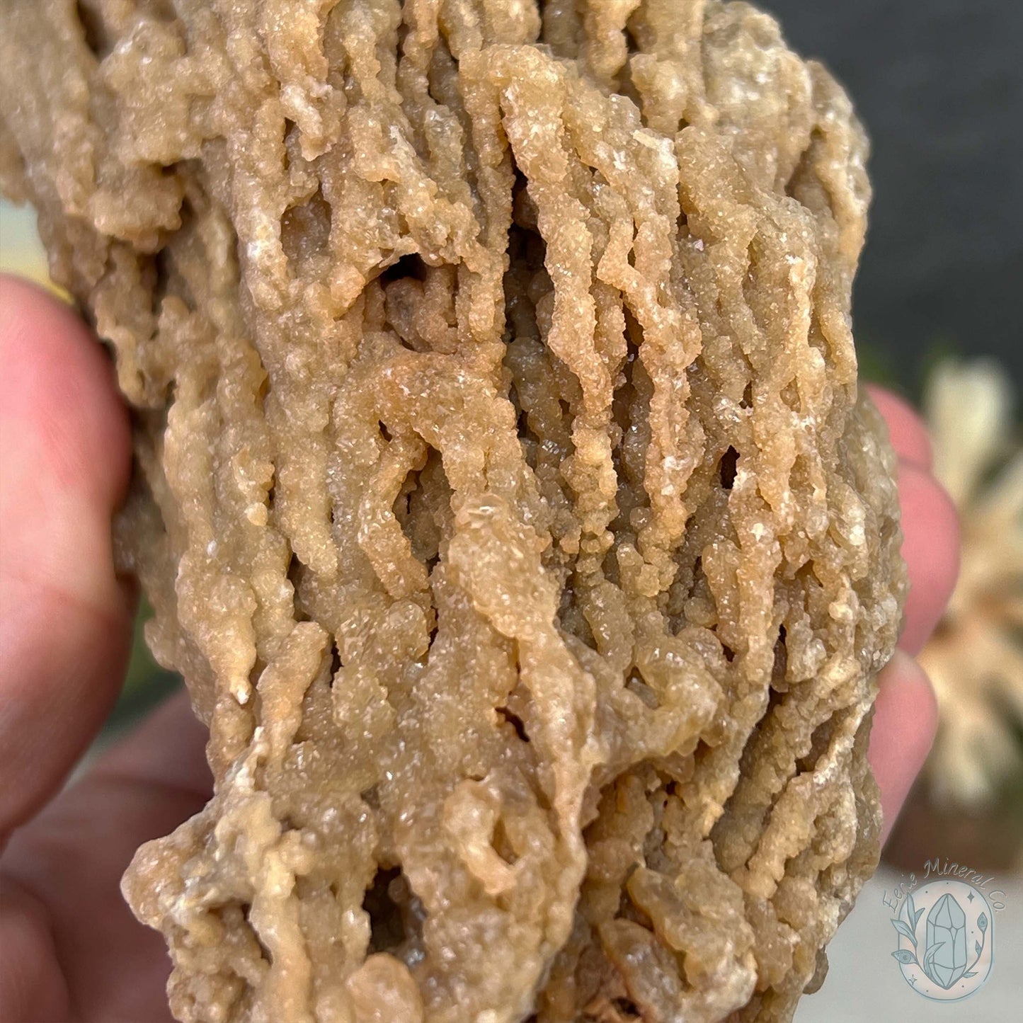 Druzy Calcite Cave Stalactite Specimen