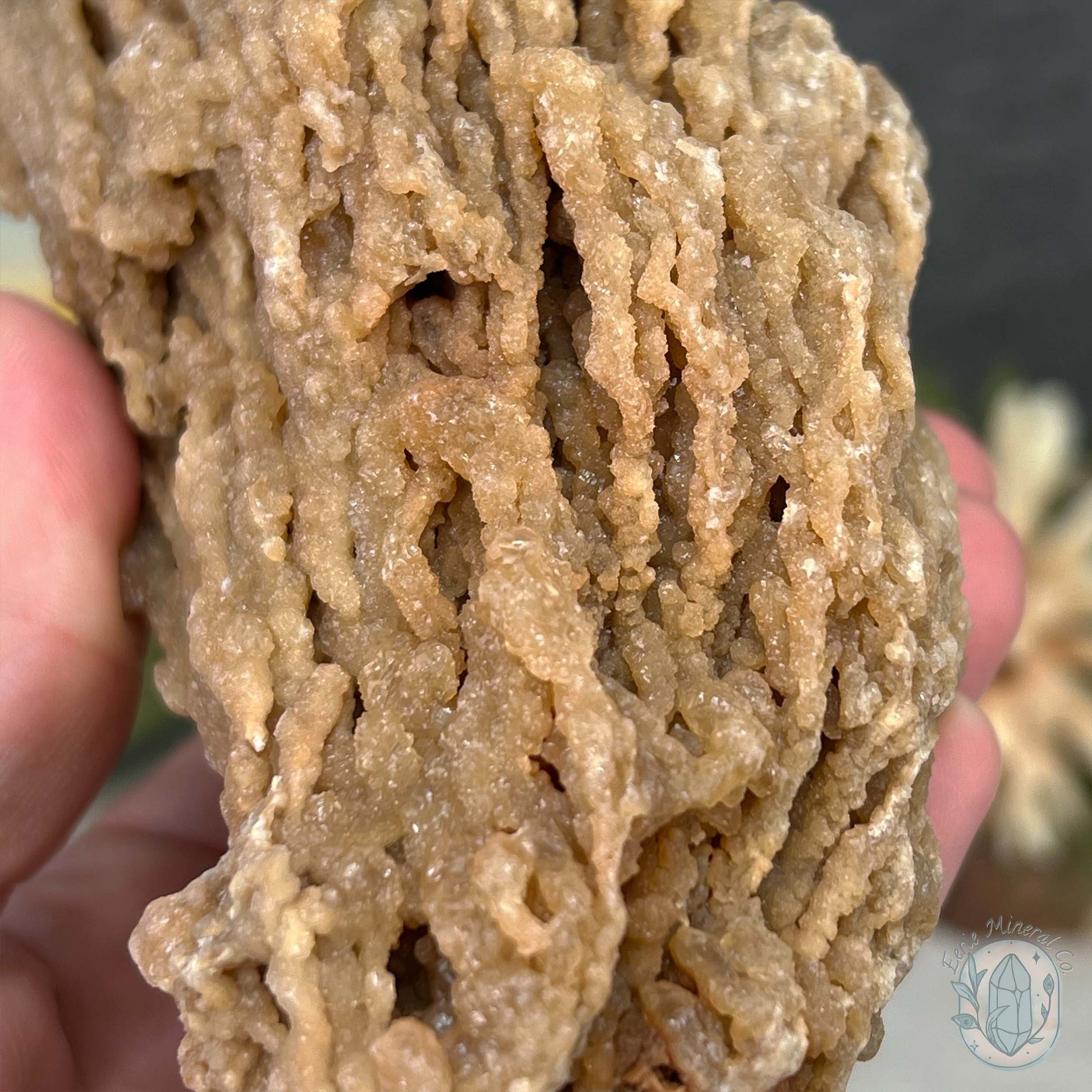 Druzy Calcite Cave Stalactite Specimen