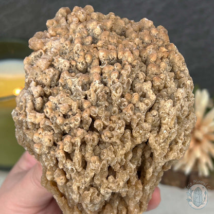 Druzy Calcite Cave Stalactite Specimen