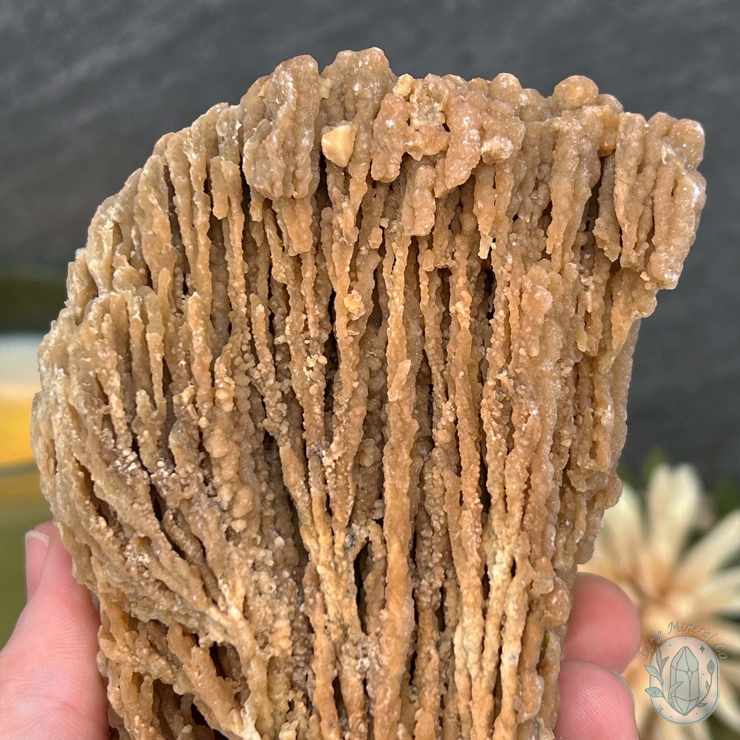 Druzy Calcite Cave Stalactite Specimen