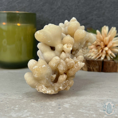 Natural Druzy Cave Calcite Stalactite Specimen