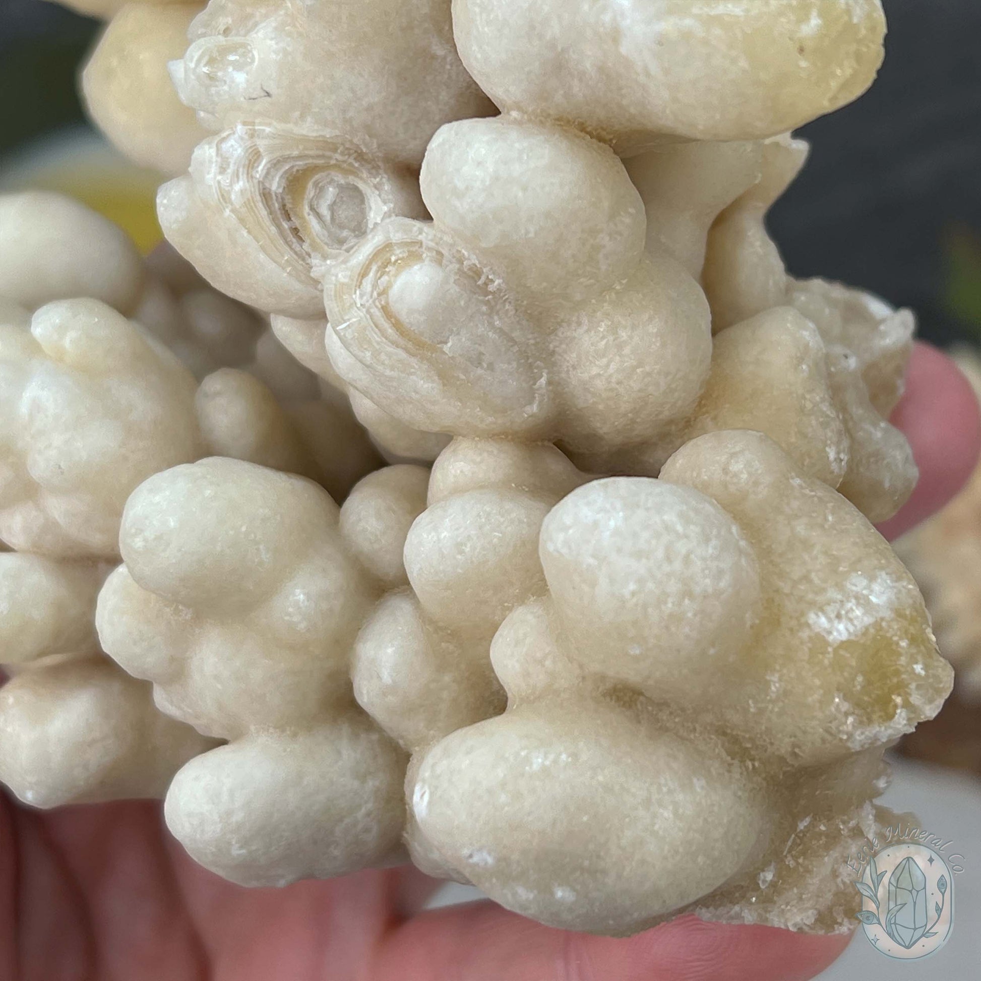 Natural Druzy Cave Calcite Stalactite Specimen