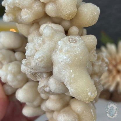 Natural Druzy Cave Calcite Stalactite Specimen