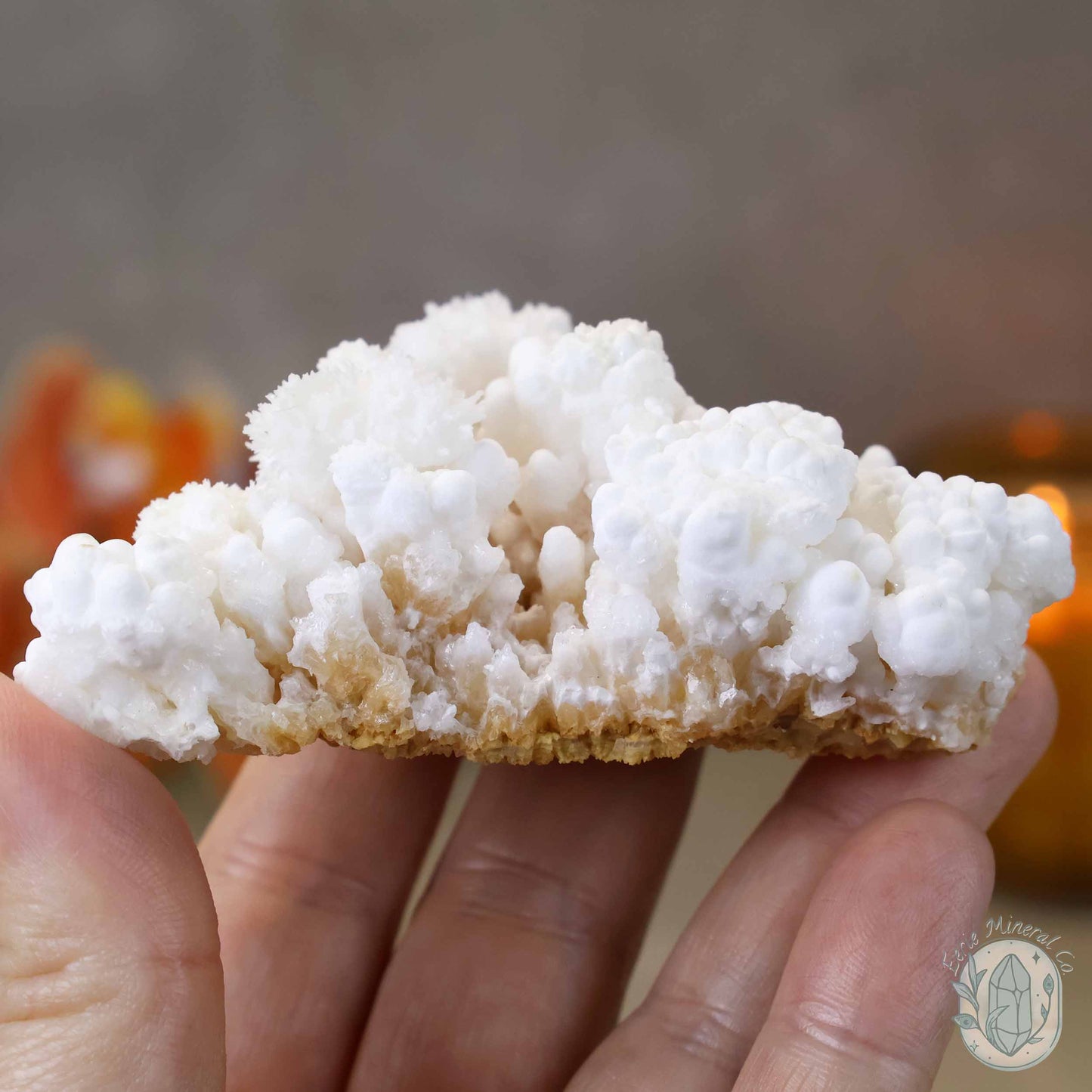 White Druzy Calcite Cave Stalactite Specimen