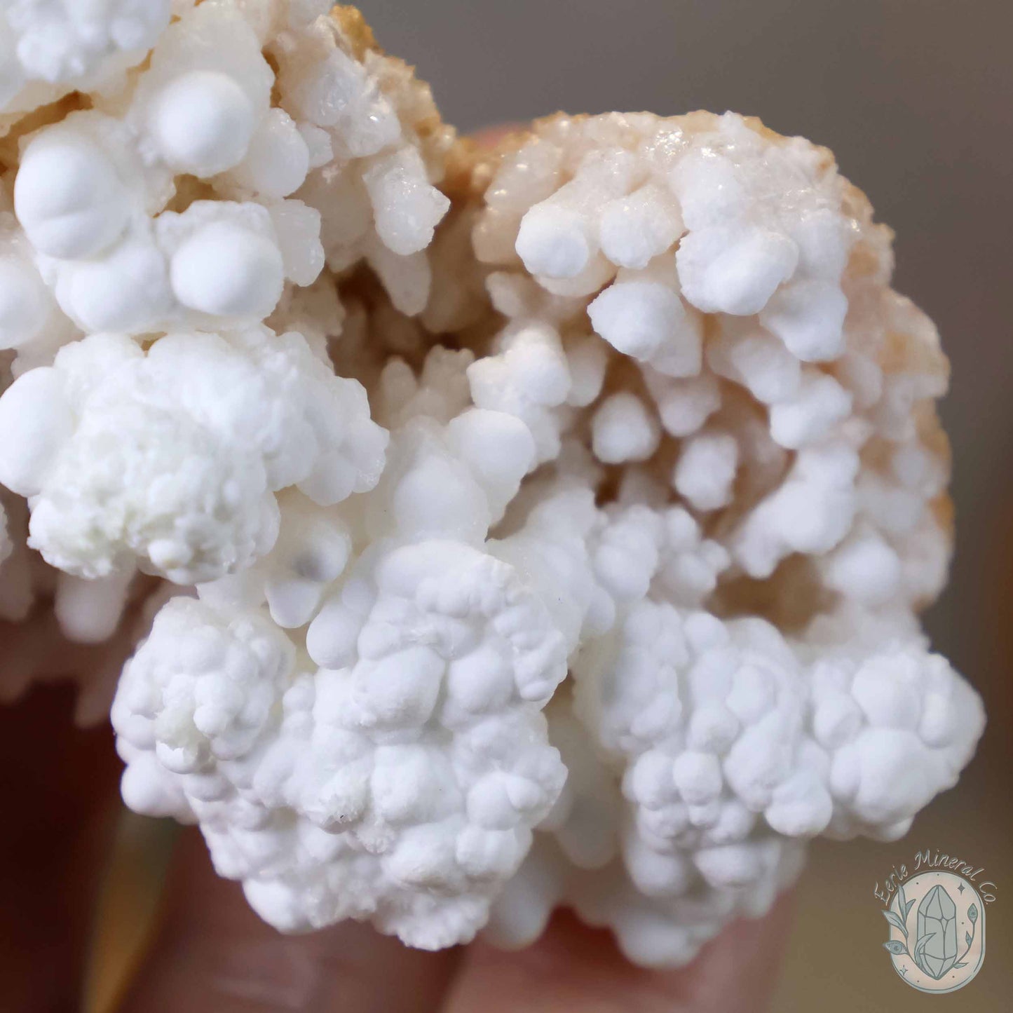 White Druzy Calcite Cave Stalactite Specimen