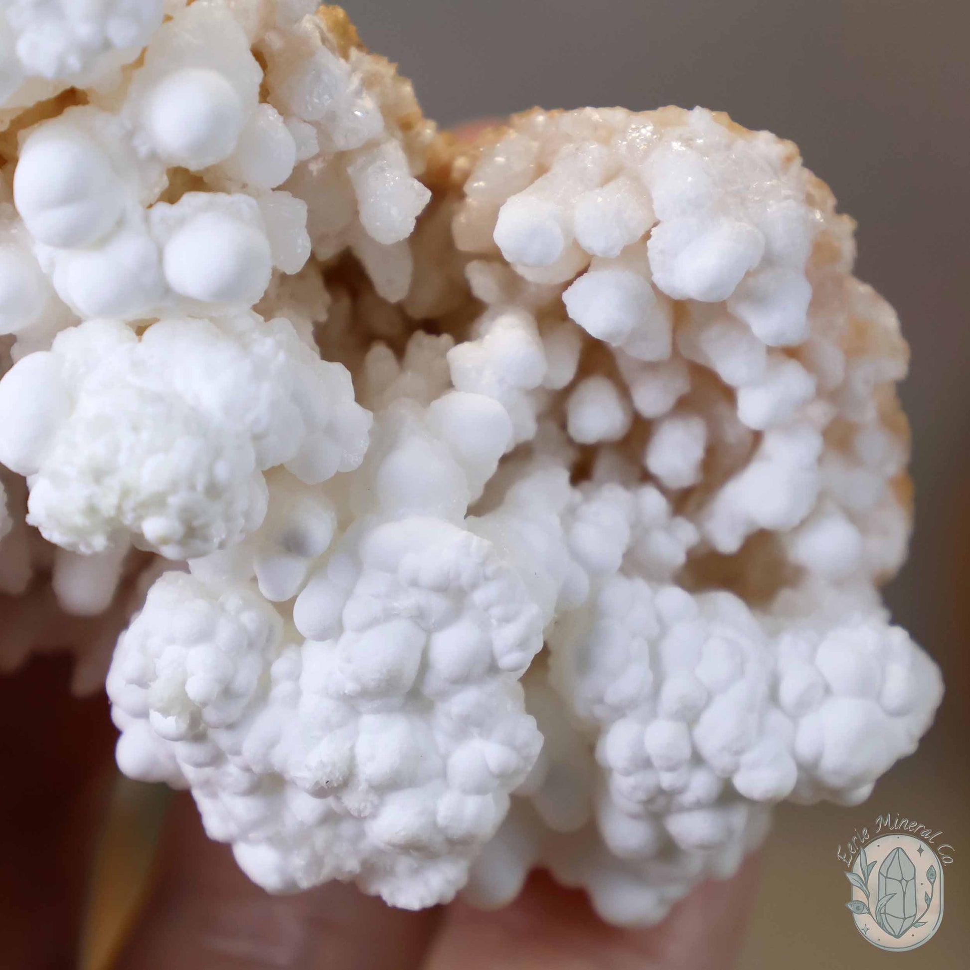 White Druzy Calcite Cave Stalactite Specimen