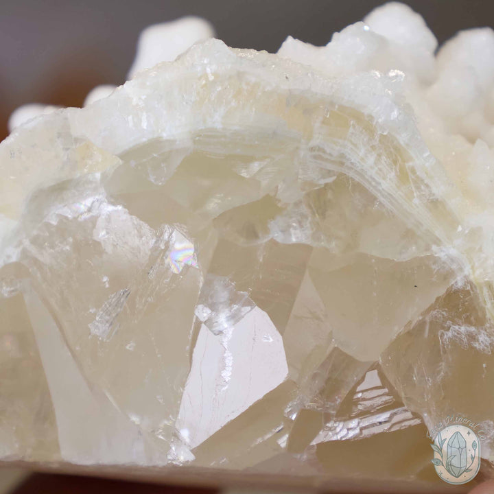 White Druzy Calcite Cave Stalactite Specimen