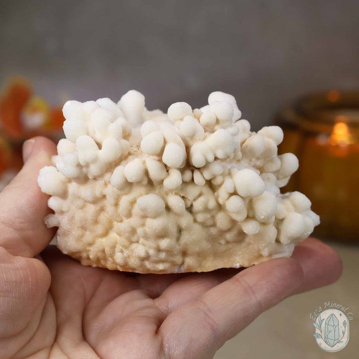 White Druzy Calcite Cave Stalactite Specimen