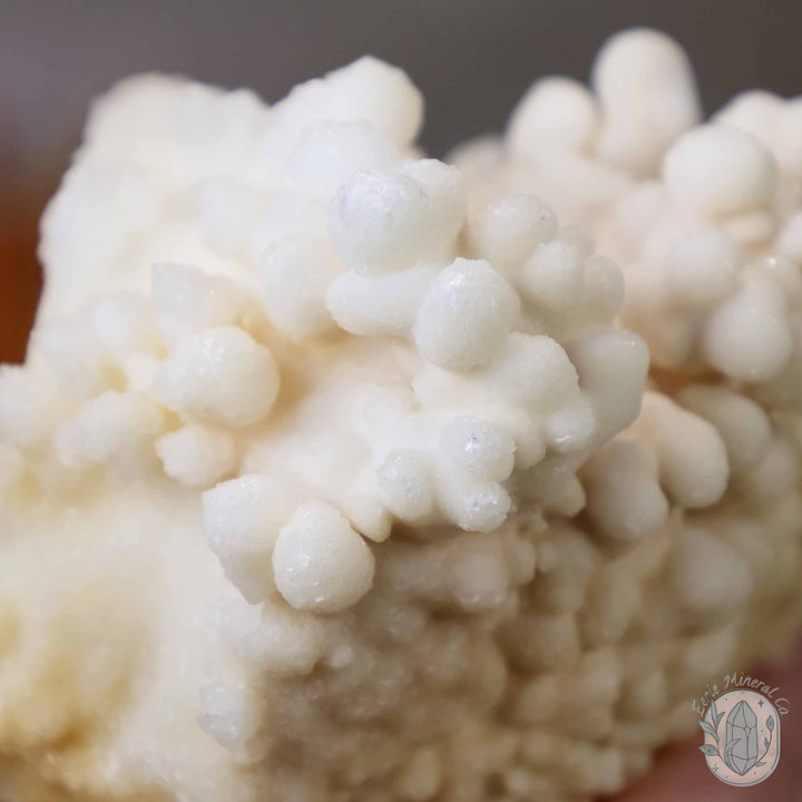 White Druzy Calcite Cave Stalactite Specimen