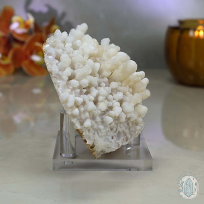 Creamy Colored Calcite Cave Stalactite Specimen