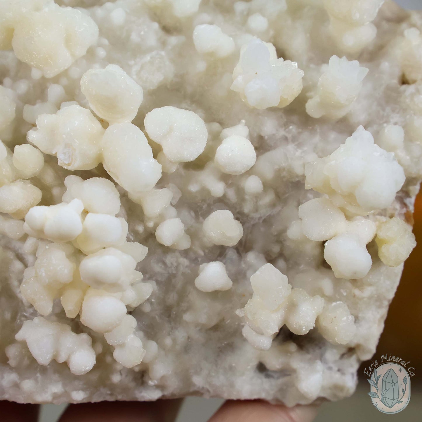 Creamy Colored Calcite Cave Stalactite Specimen