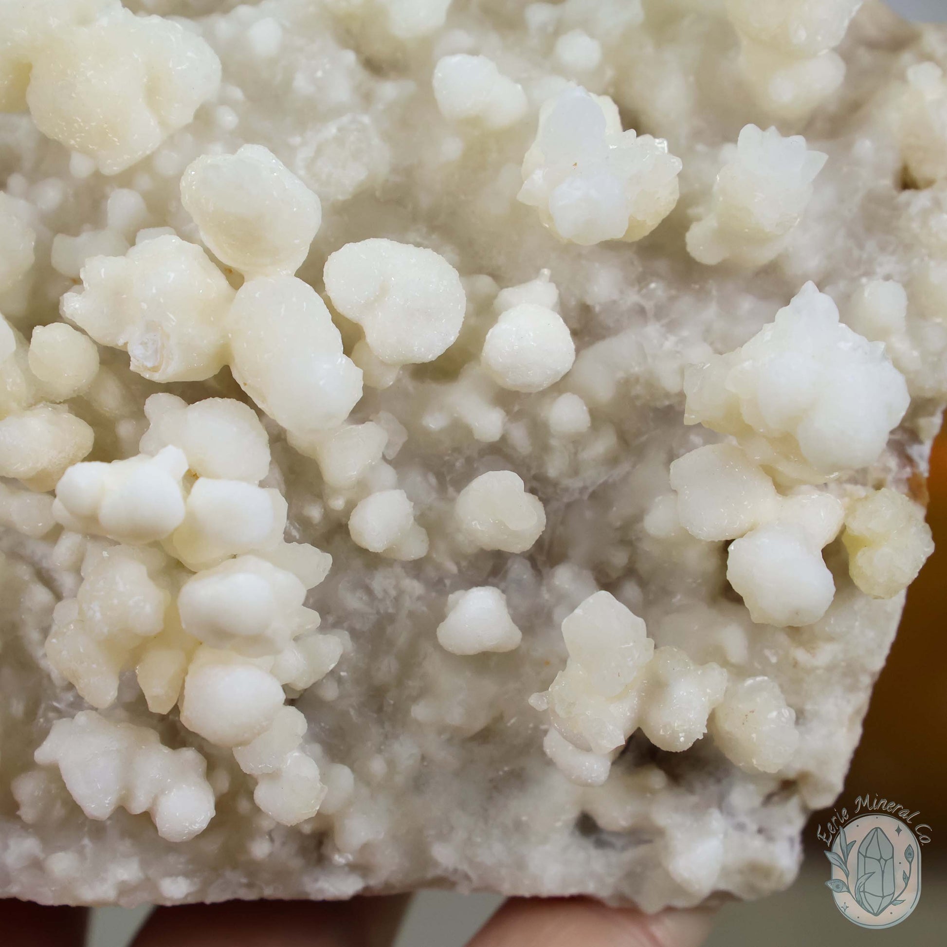 Creamy Colored Calcite Cave Stalactite Specimen