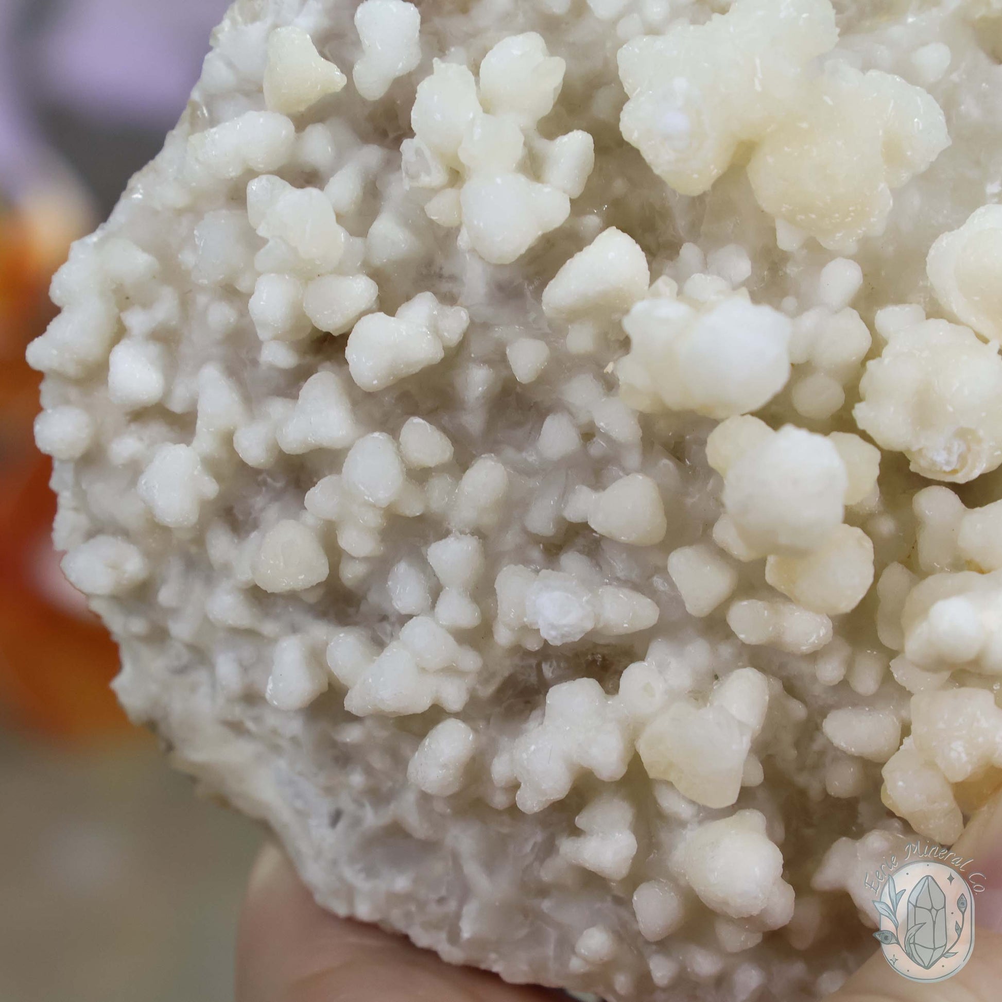 Creamy Colored Calcite Cave Stalactite Specimen