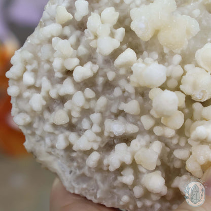 Creamy Colored Calcite Cave Stalactite Specimen