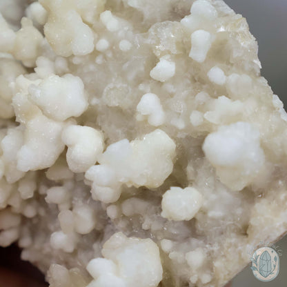 Creamy Colored Calcite Cave Stalactite Specimen