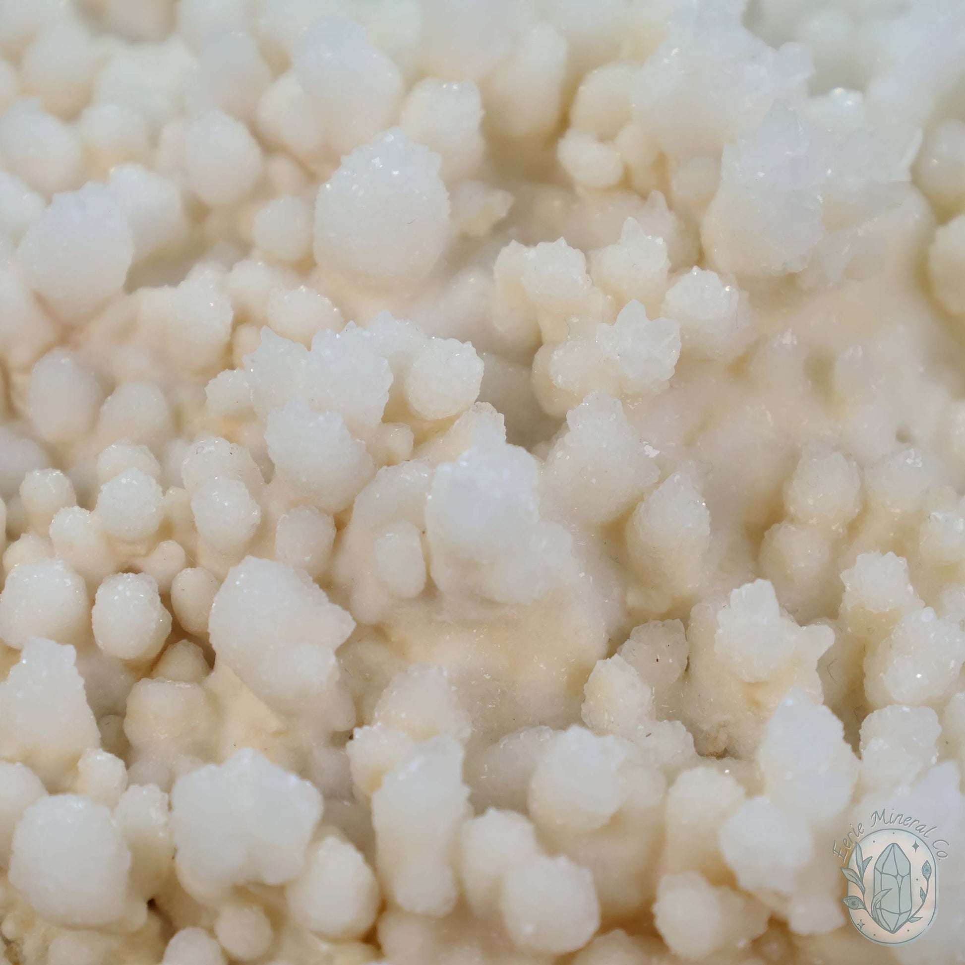 Druzy Calcite Cave Stalactite Specimen