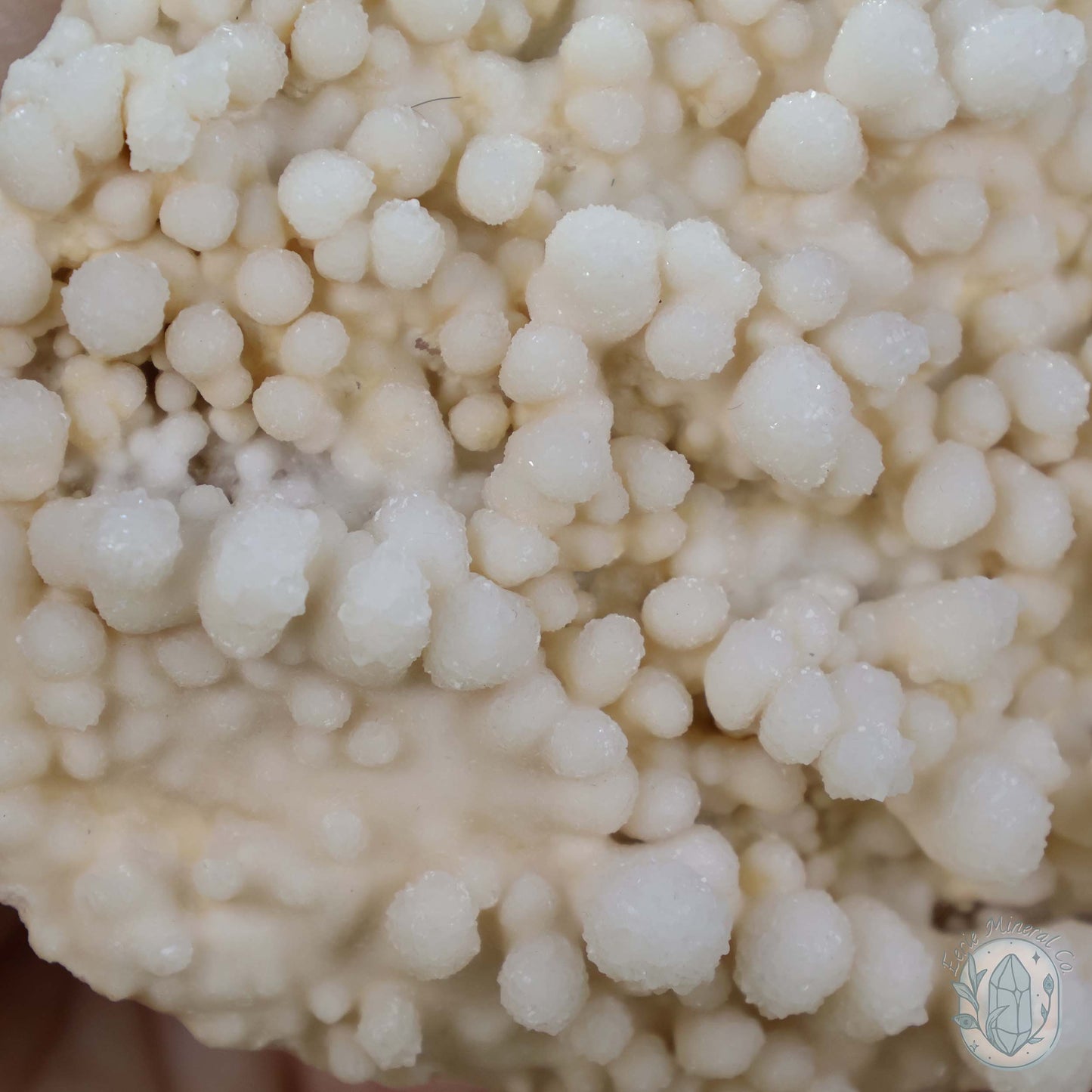 Druzy Calcite Cave Stalactite Specimen