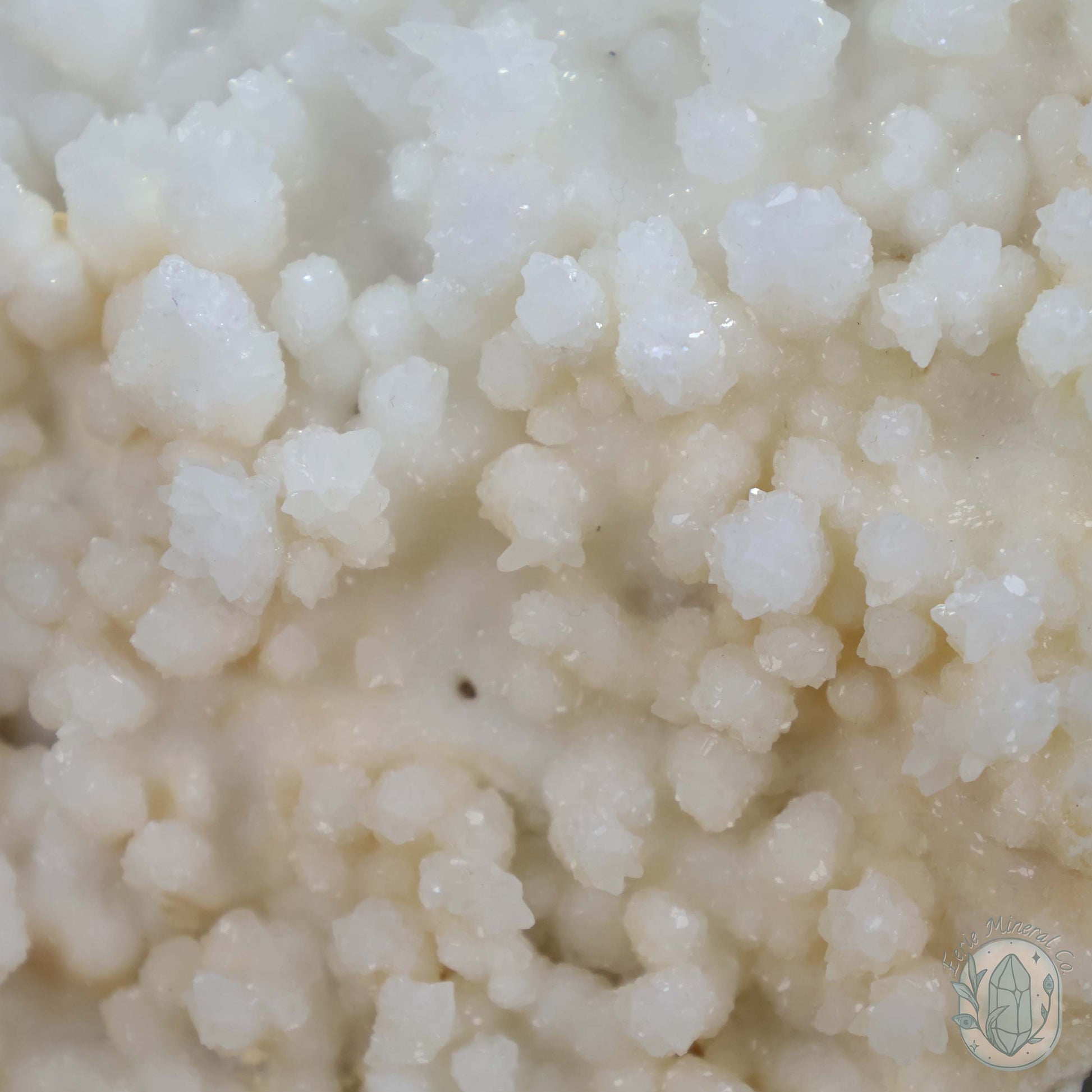 Druzy Calcite Cave Stalactite Specimen