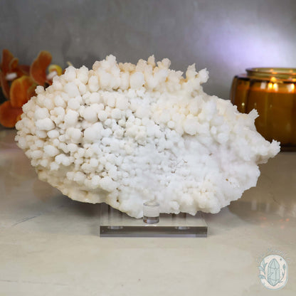 Cream Colored Calcite Cave Stalactite Specimen
