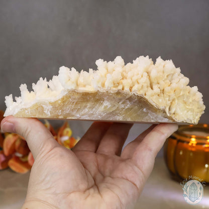 Cream Colored Calcite Cave Stalactite Specimen